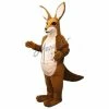 Costumes, Etc... Mascots Kangaroo Mascot 2 Costumes, Etc... Mascots Kangaroo Mascot