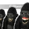 California Costumes Gorilla Ani-Motion Mask