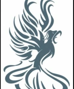 Tinsley Transfers Phoenix