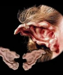 Stage Frights Troll Ears