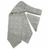 Brand Q, Inc Men's Formalwear Accessories Ascot W/ Pocket Square In 6 Colors